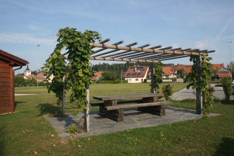 IMG 6626 IMG 6626